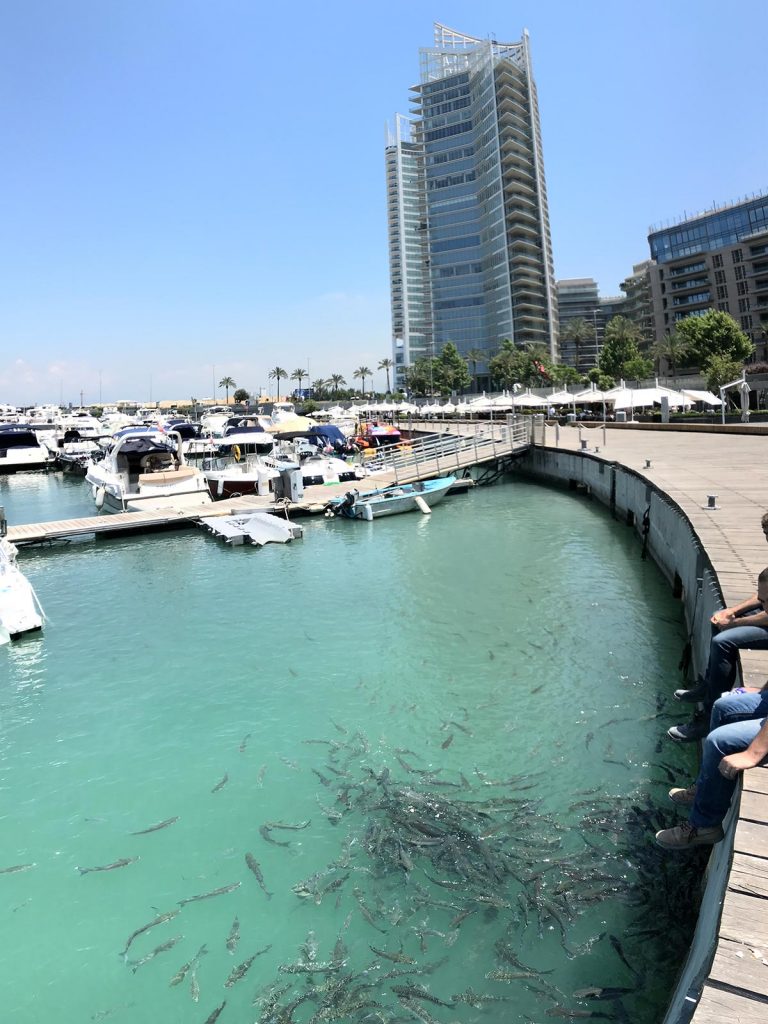 Harbor with many boats and fish in Beirut, Lebanon. Lebanon & Cyprus, country 100!!!