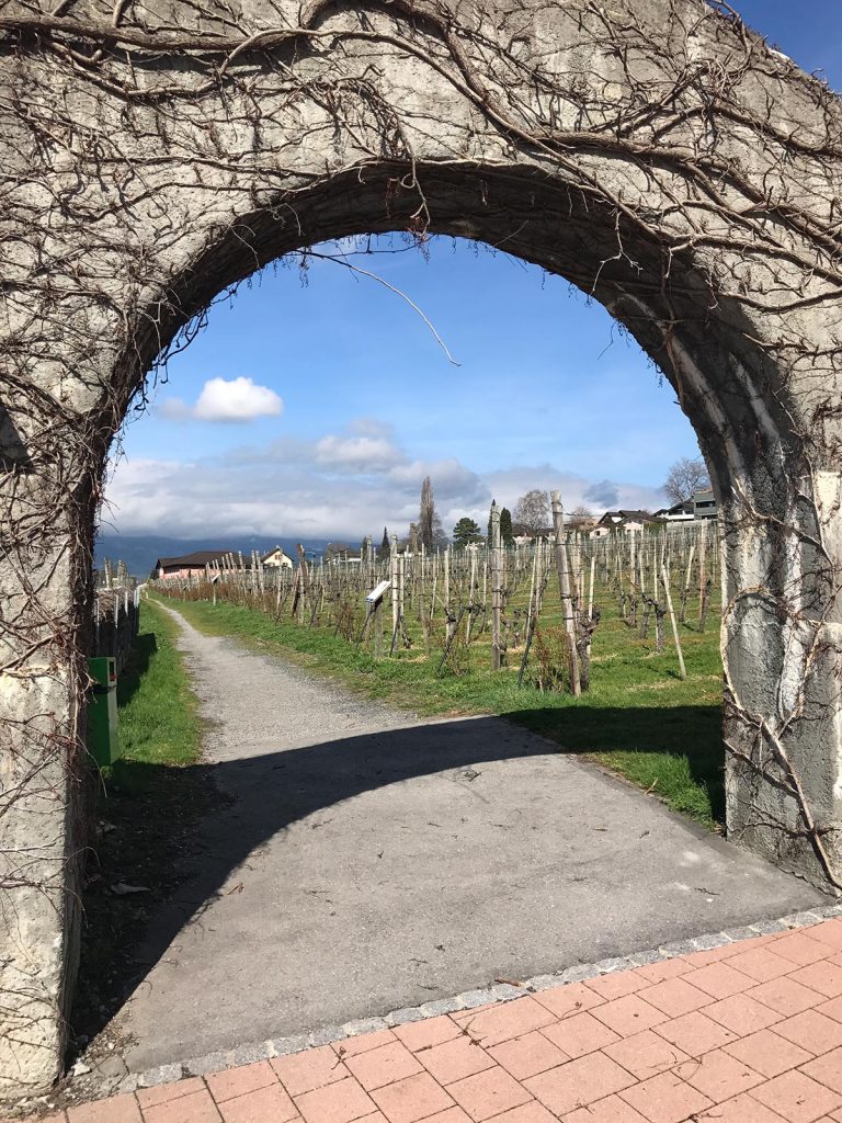 Archway to newly planted vineyard in Vaduz, Liechtenstein. Cheltenham, Europe & Mum's 60th summed up in photos