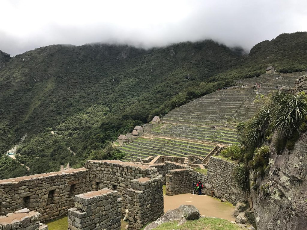 Terraced landscape and ruins in Machu Picchu, Peru. Checking out Machu Picchu and Full Guide
