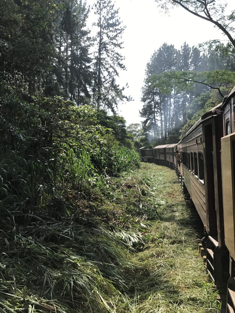 Train ride in Sri Lanka. The train ride of a lifetime pt1 Adam's peak