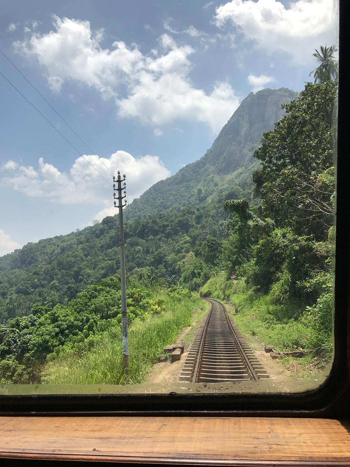 Railroad thru vegetation in Sri Lanka. The train ride of a lifetime pt1 Adam's peak