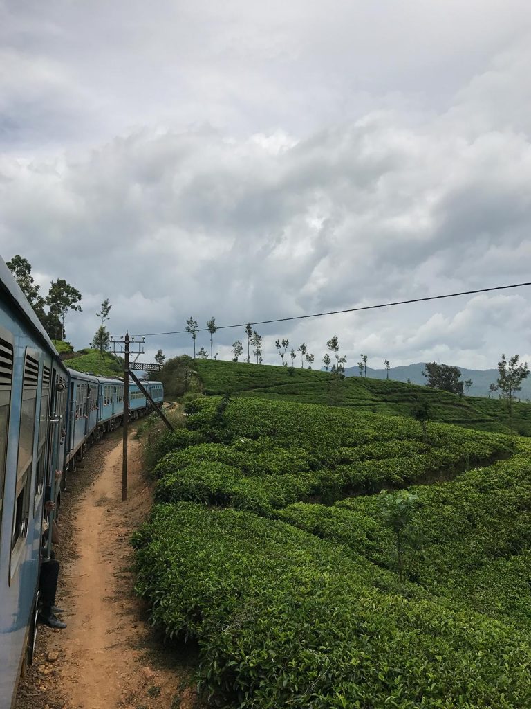 Train passing a tea plantation in Ella, Sri Lanka. The Train Ride of a Lifetime pt2, Ella