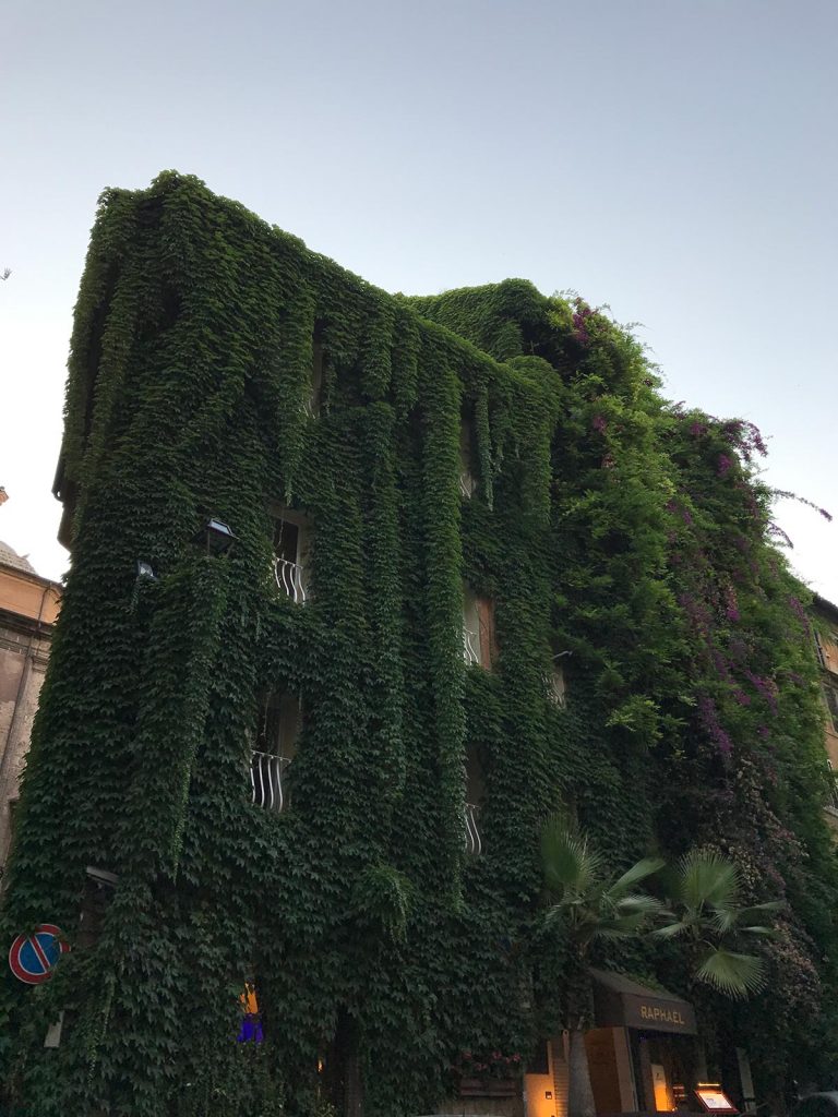 Vine covered building in Rome, Italy. The Colosseum & Rome, the last wonder