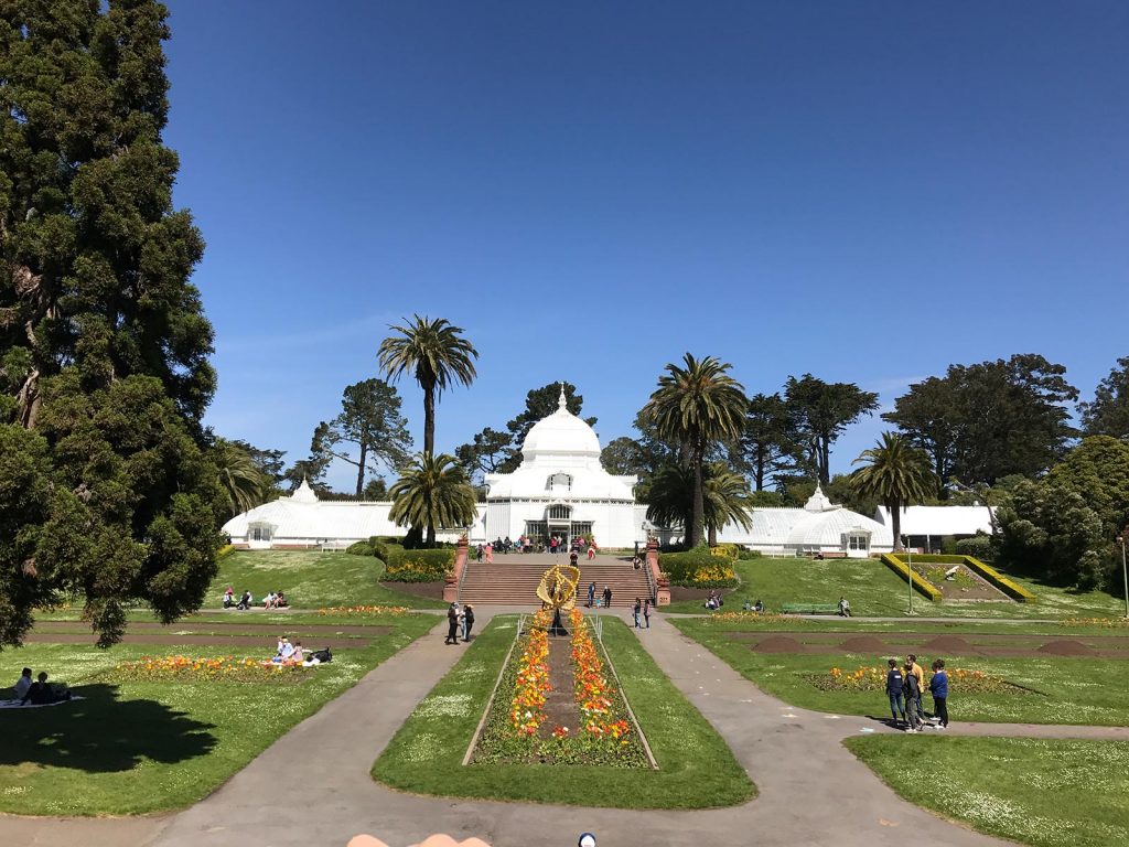 Big garden in San Francisco, USA. L.A. & San Fran, revisiting the West Coast
