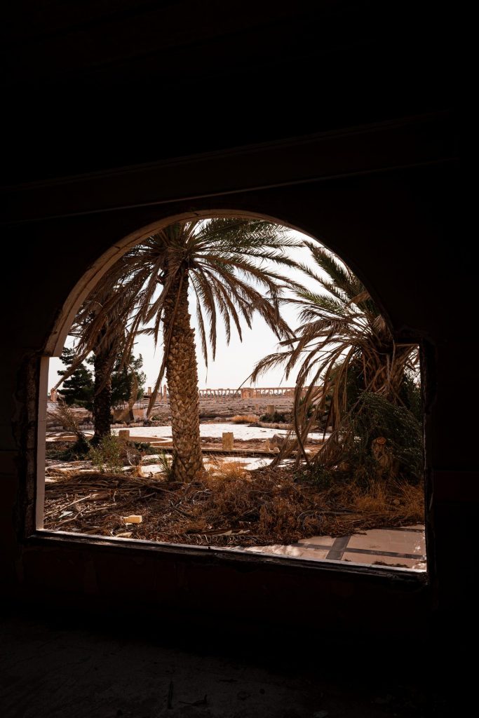 Trees outside window in Palmyra, Syria. The ruined ruins of Palmyra
