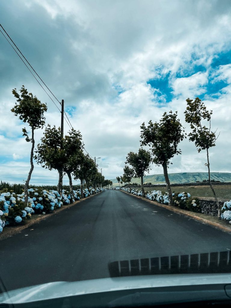 Car roadtrip in Terceira Island, The Azores. Is the Azores just Ireland in disguise
