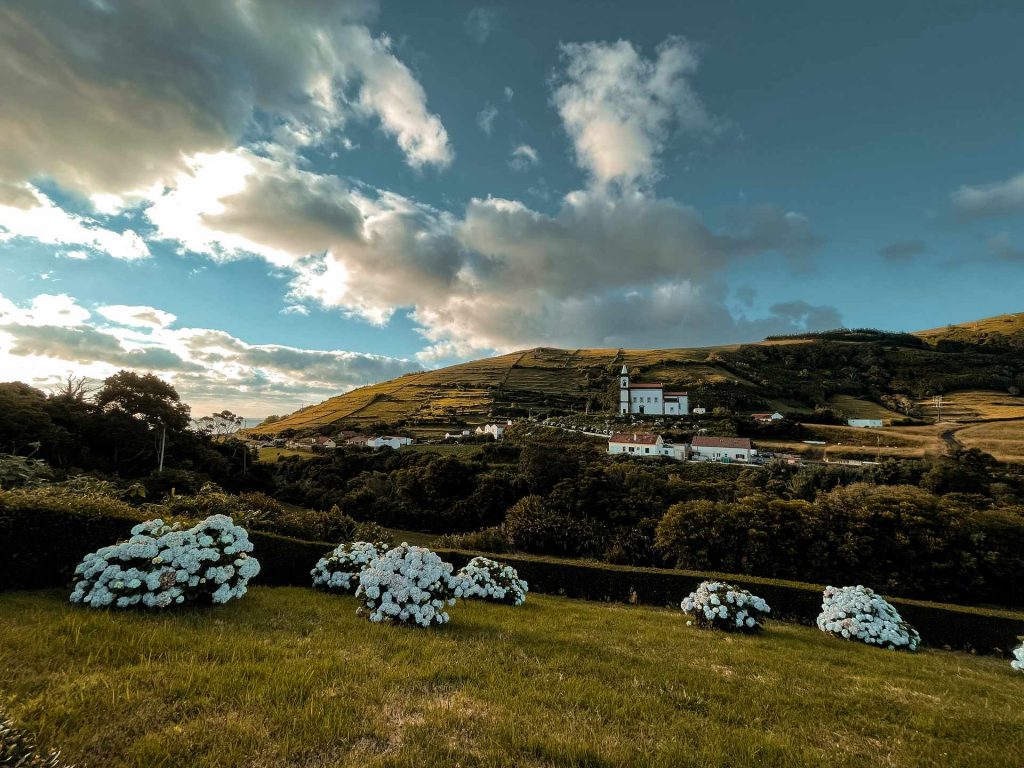 White flowers in the fields in Flores, The Azores. 2 days looking at mist in Flores