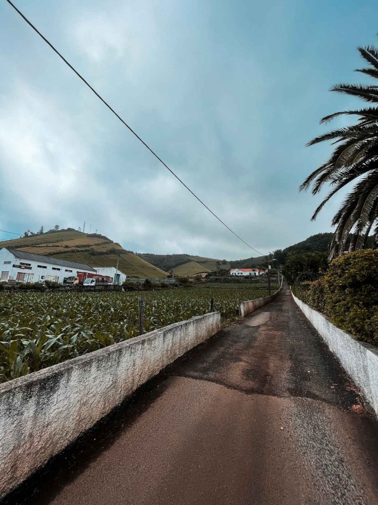 Dirt road to the hills in Flores, The Azores. Walking on the Moon & prepping for climbing Pico