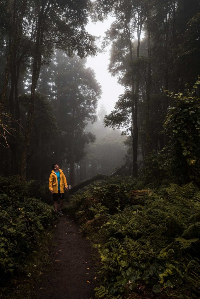 David Simpson inside a foggy forest in Flores, The Azores. 2 days looking at mist in Flores