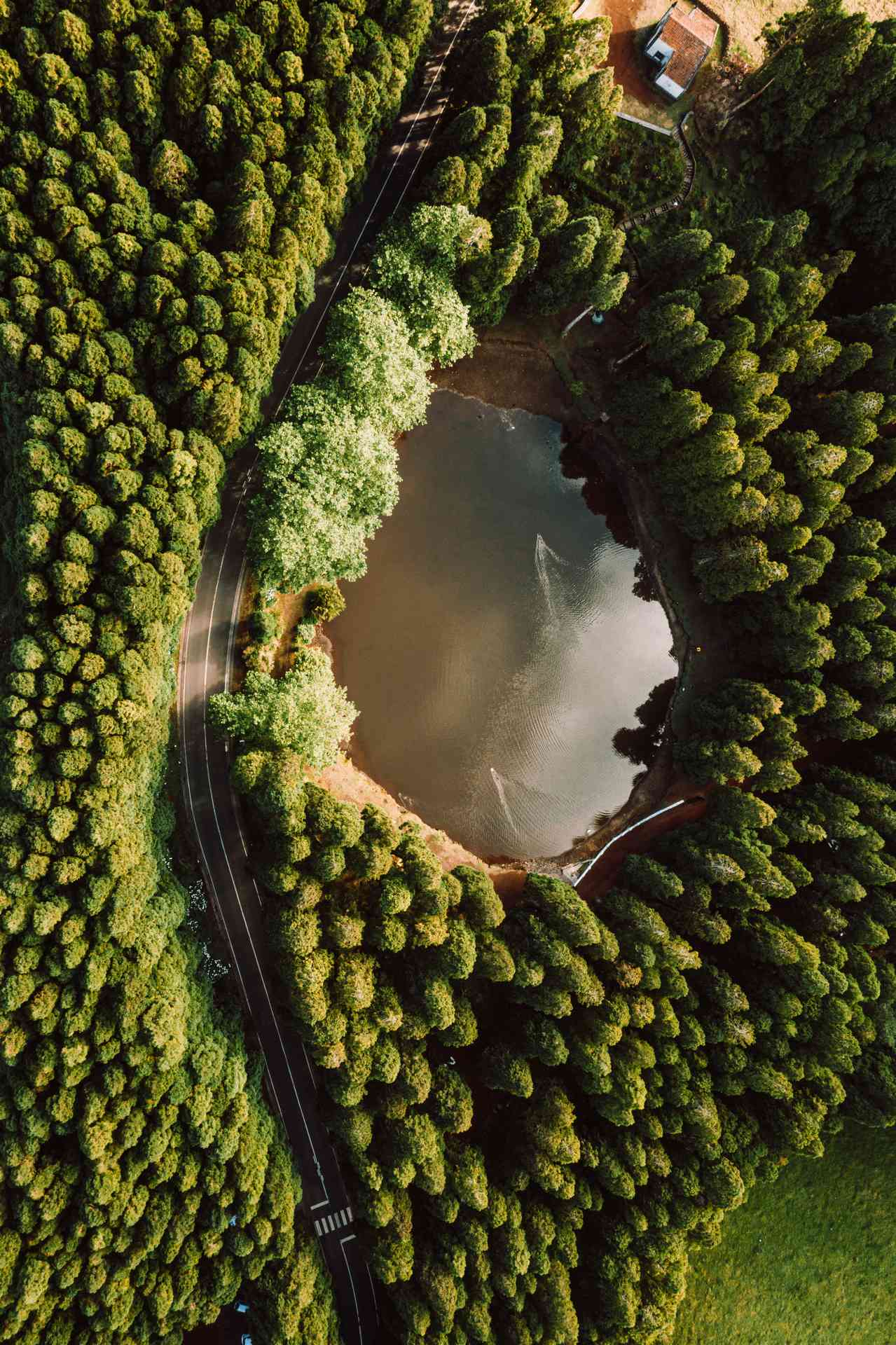 Aerial view of lake by the forest in Terceira Island, The Azores. The Azores series reflection; fields, cows & mist