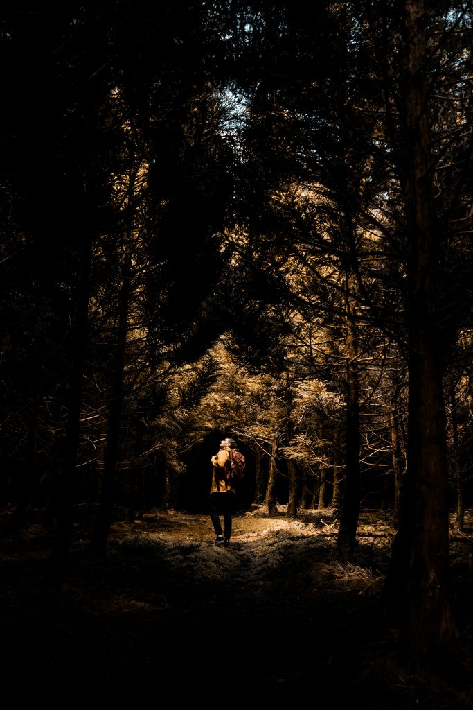 David Simpson inside a dark forest in Terceira Island, The Azores. Terceira, another photographer’s dream