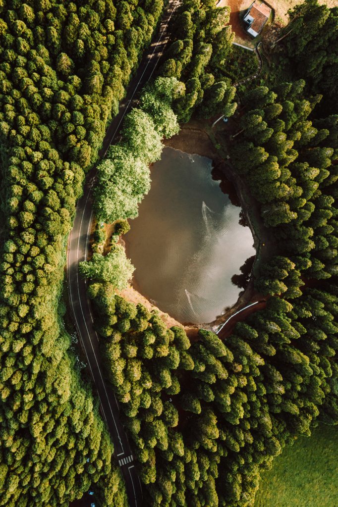 Aerial view of forest in Terceira Island, The Azores. Terceira, another photographer’s dream