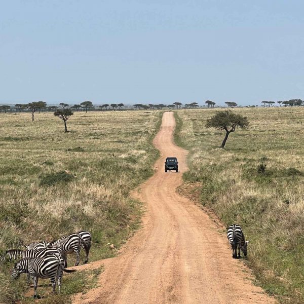 Long winding road in Masai Mara, Kenya. The Great Migration