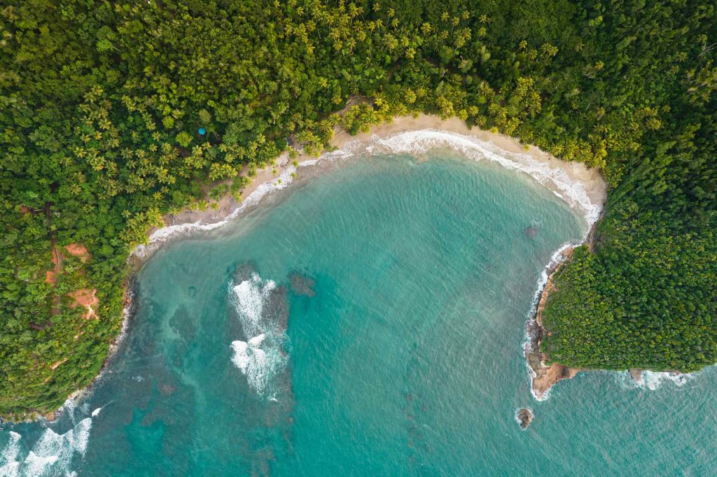 Aerial view of trees, the beach and the sea in Dominica. The start of a Covid nightmare