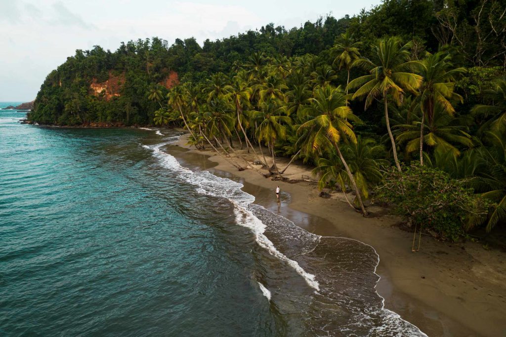 Aerial view of trees, the beach and the sea in Dominica. The start of a Covid nightmare