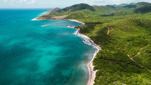 Aerial view of sea, beach and trees in Antigua. Rendezvous beach and cliffside accom in BVI