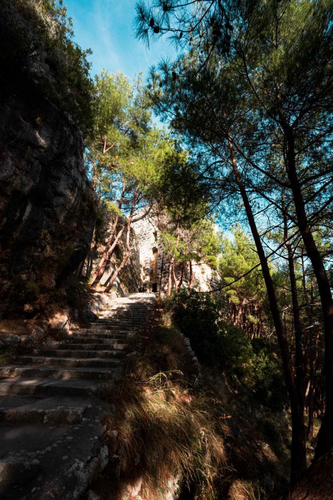 Stairs thru the trees to the Citadel of Salah-Ed-Din in Latakia. Getting lost through the devastation to Aleppo
