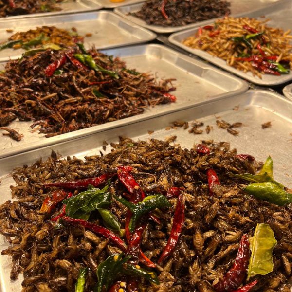 Fried insects at Jodd Fairs in Bangkok, Thailand. Insects a la carte & a broken bus