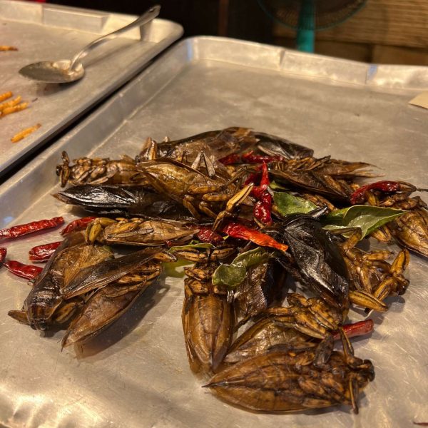 Fried insects at Jodd Fairs in Bangkok, Thailand. Insects a la carte & a broken bus