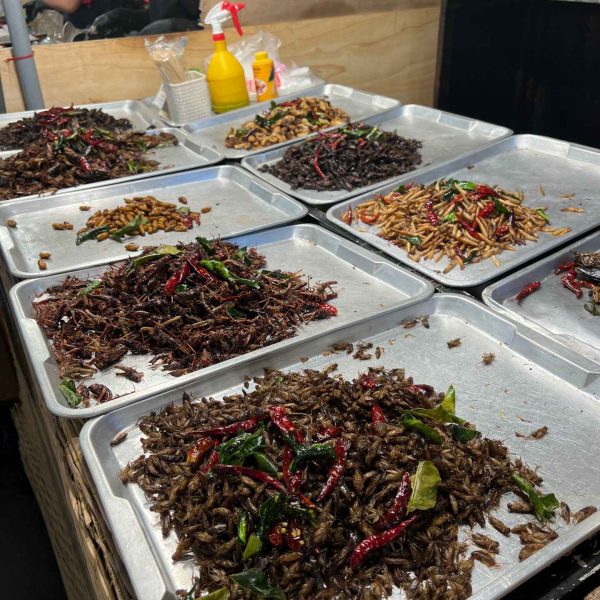 Fried insects stall at Jodd Fairs in Bangkok, Thailand. Insects a la carte & a broken bus