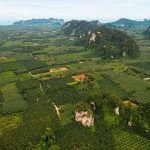 Aerial view of Tiger Temple, Thailand. Railay Viewpoint, Tiger Temple & the best Tom Yum in Thailand
