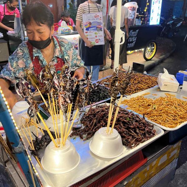 Fried insects vendor at Chinatown in Bangkok, Thailand. The day to end all days in Bangkok