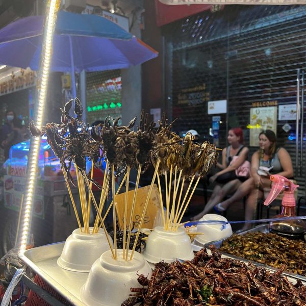 Fried insects stalls at Chinatown in Bangkok, Thailand. The day to end all days in Bangkok