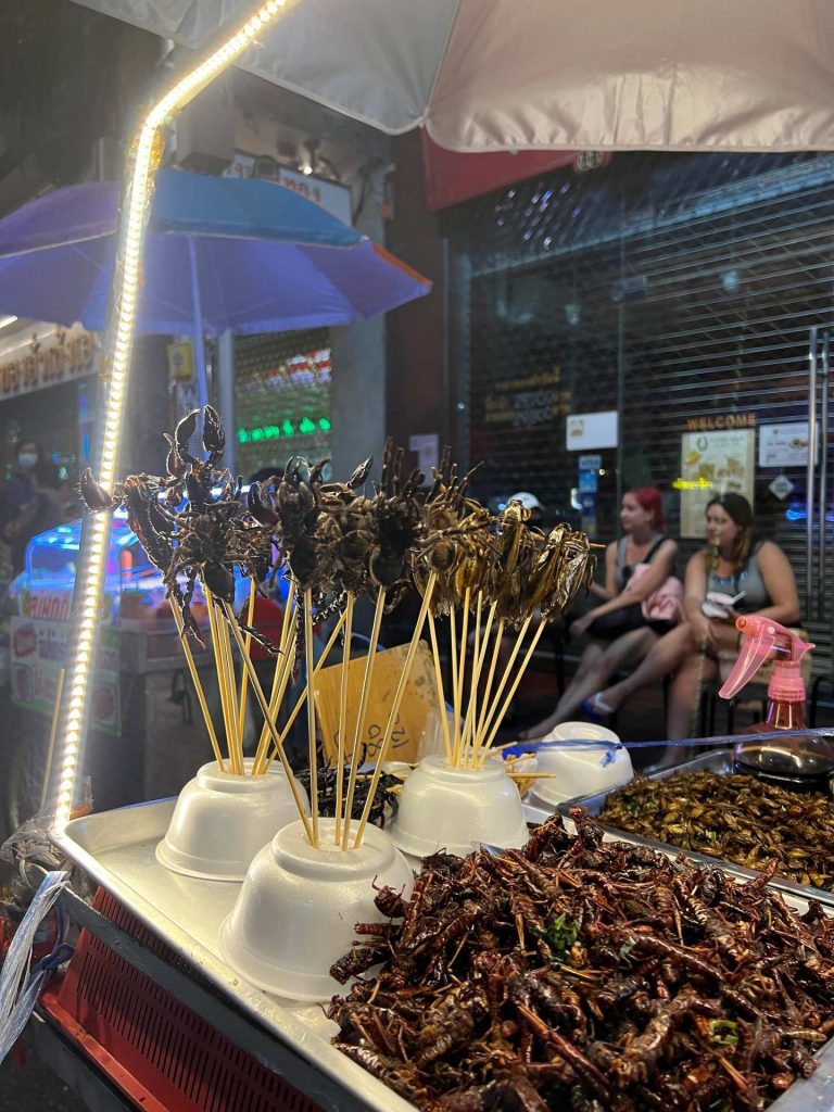 Fried insects stalls at Chinatown in Bangkok, Thailand. The day to end all days in Bangkok