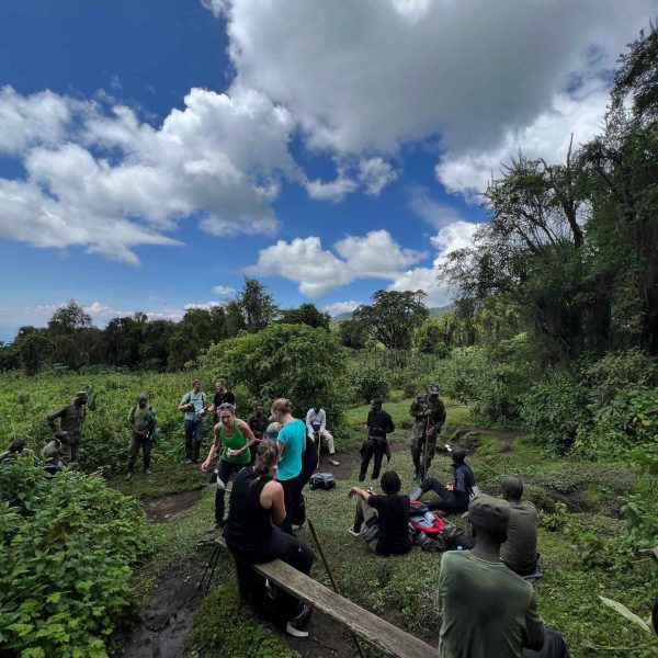 Rangers and tourists hiking Mt. Bisoke summit in Rwanda. Climbing Mt Bisoke