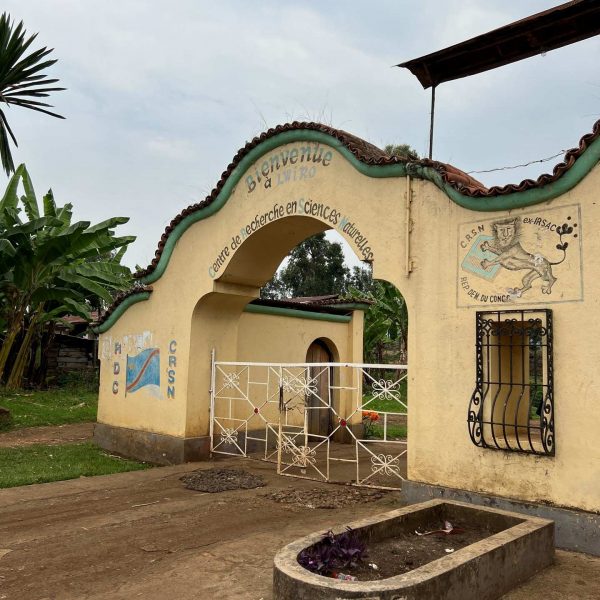 Arch entrance gate in Bukavu, DRC. Gorillas & sleeping with the general’s wife