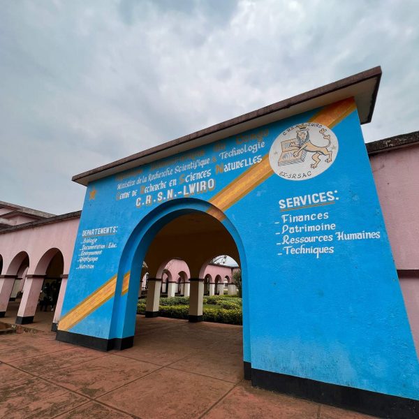Arch entrance in Bukavu, DRC. Gorillas & sleeping with the general’s wife