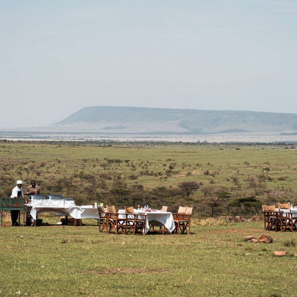Bush breakfast in Masai Mara, Kenya. The Great Migration
