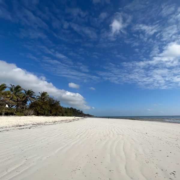 Low tide at the beach in Zanzibar, Tanzania. Seychelles, Vallée De Mai and Anse Lazio