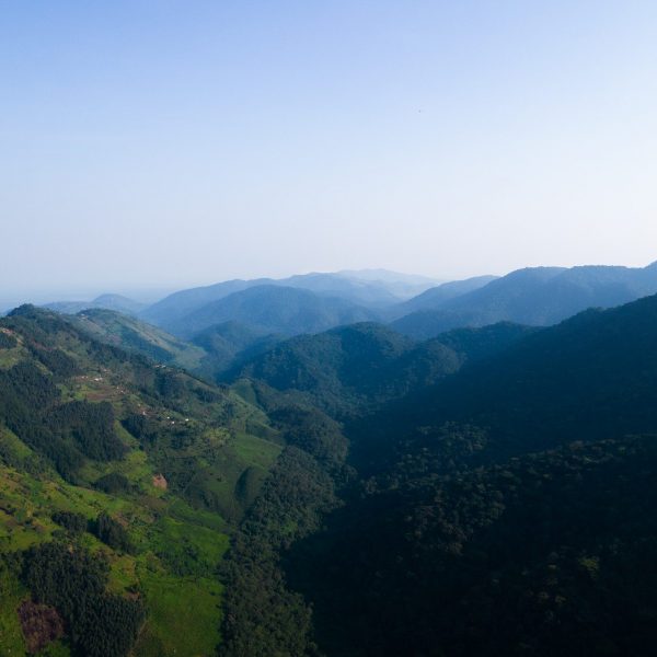 Aerial view of mountains near Des Mille Collines Hotel in Uganda. Sh*t scared at the Gorilla habituation experience
