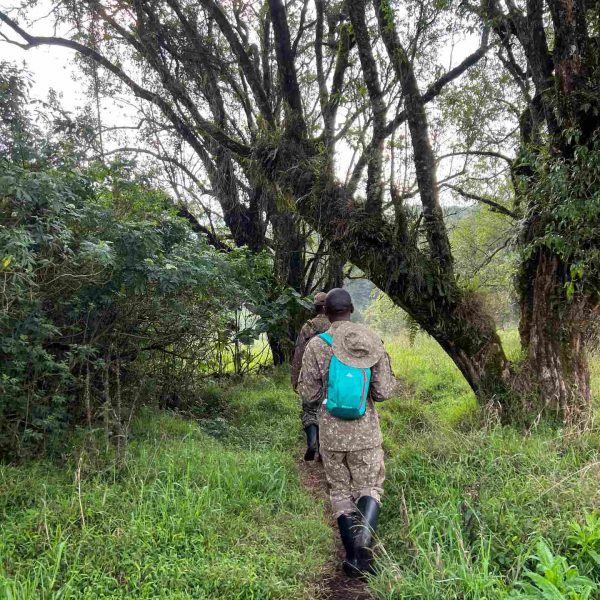 Rangers at Mgahinga National Park in Uganda. Uganda Gorilla trek