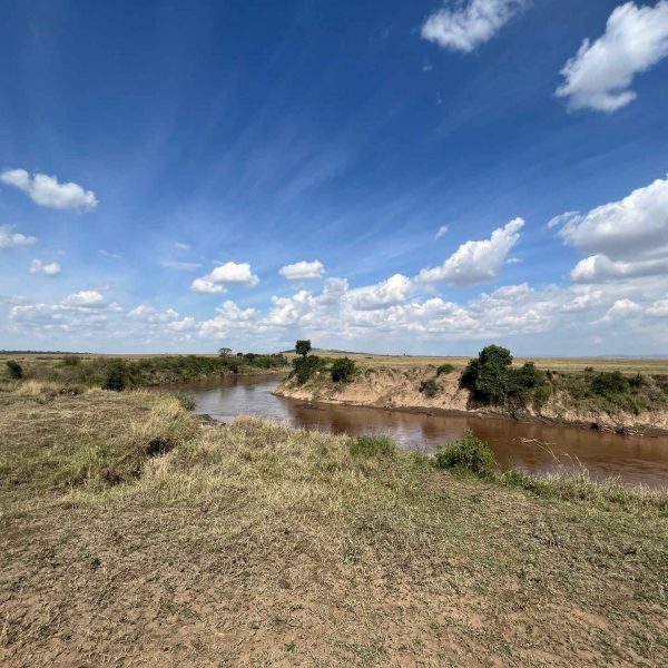 River in Masai Mara, Kenya. The Great Migration