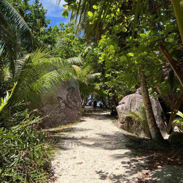 Path thru the trees in Anse Source D_Argent, Seychelles. The best beach in the World & rip drone