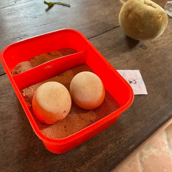 Potato and eggs in Prison Island in Zanzibar, Tanzania. Prison Island & Stone Town