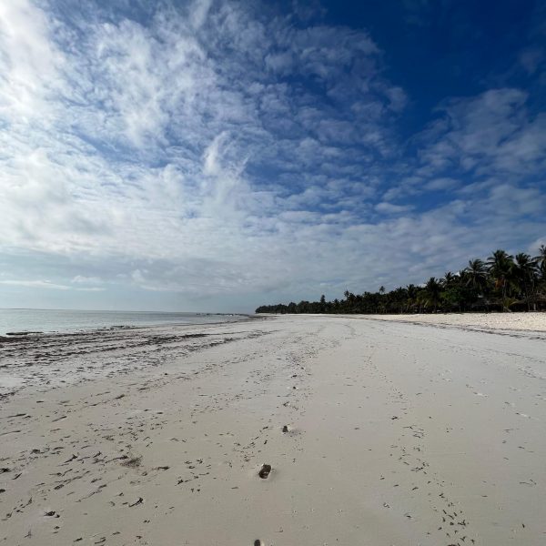 Footprints in the sand by the beach in Zanzibar, Tanzania. Seychelles, Vallée De Mai and Anse Lazio