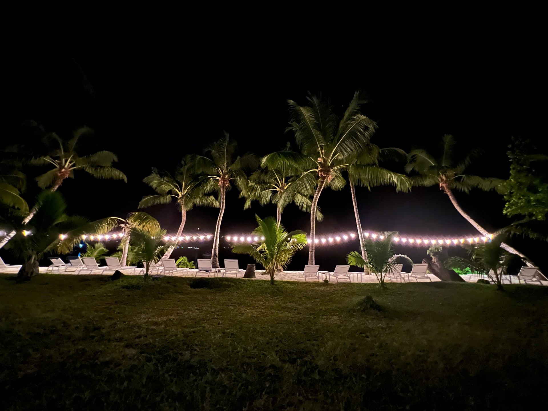 Lighted coconut trees at night at the beach in Seychelles. Seychelles, Vallée De Mai and Anse Lazio