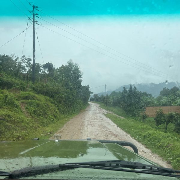 Roadtrip to Bwindi Impenetrable Forest in Uganda. Sh*t scared at the Gorilla habituation experience