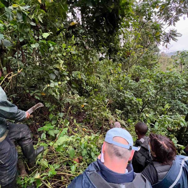 Mom, dad and rangers at Bwindi Impenetrable Forest in Uganda. Sh*t scared at the Gorilla habituation experience