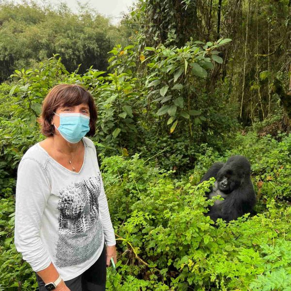 Mom and Gorilla at Mgahinga National Park in Uganda. Uganda Gorilla trek