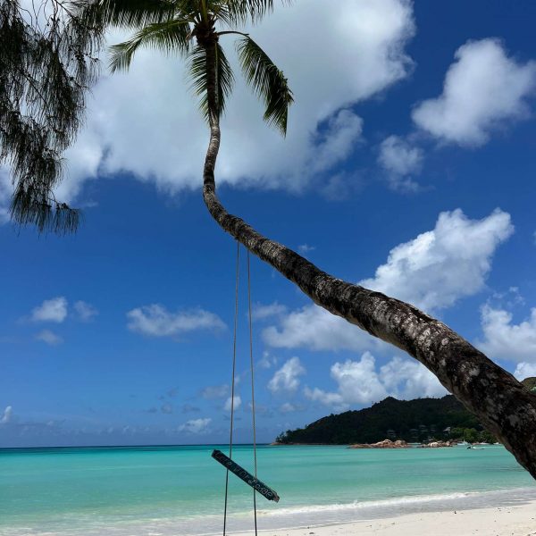 Swing at the beach in Seychelles. Seychelles, Vallée De Mai and Anse Lazio
