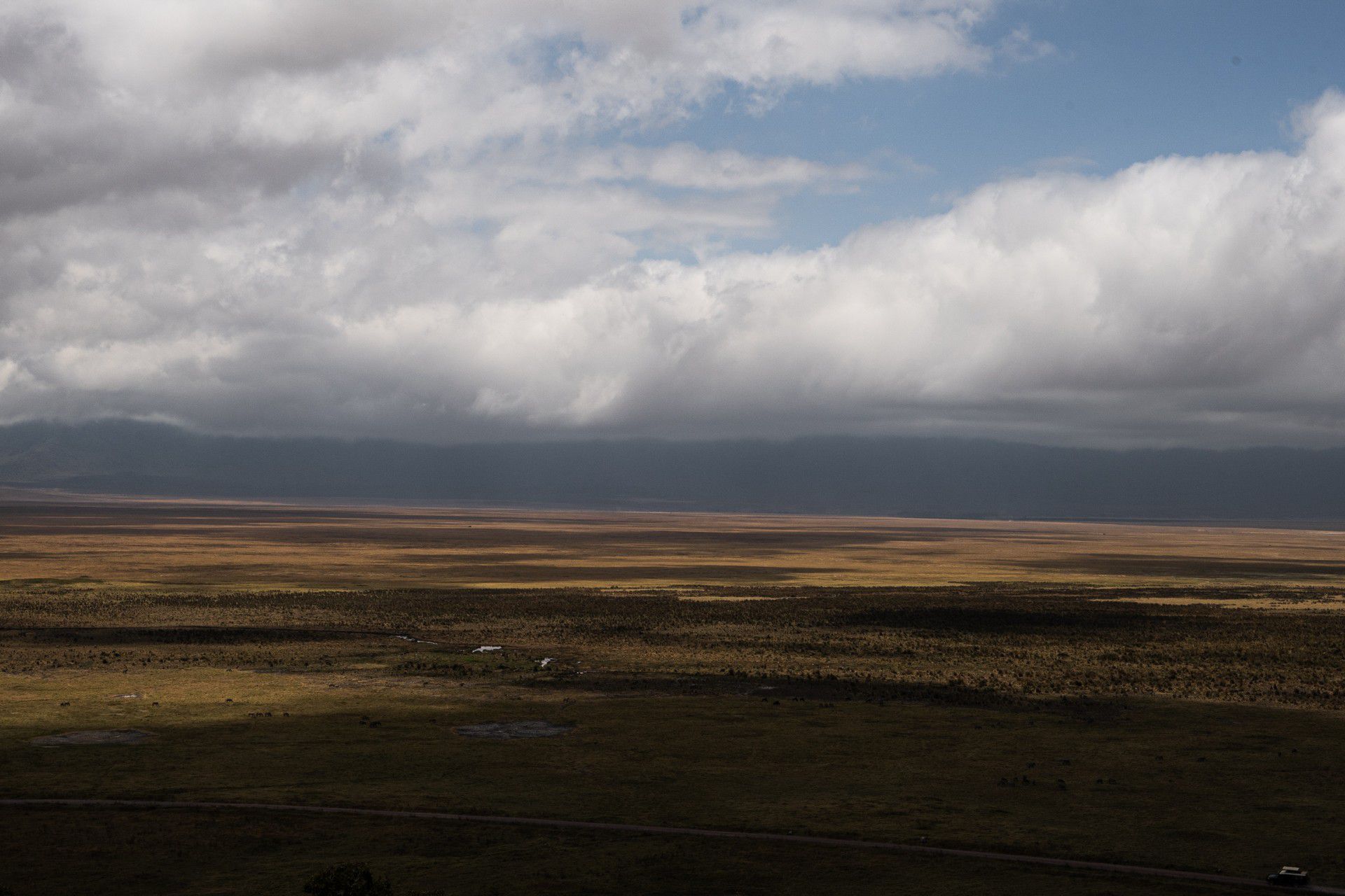 Plains at Ngorongoro Sanctuary, Tanzania. The Ngorongoro crater