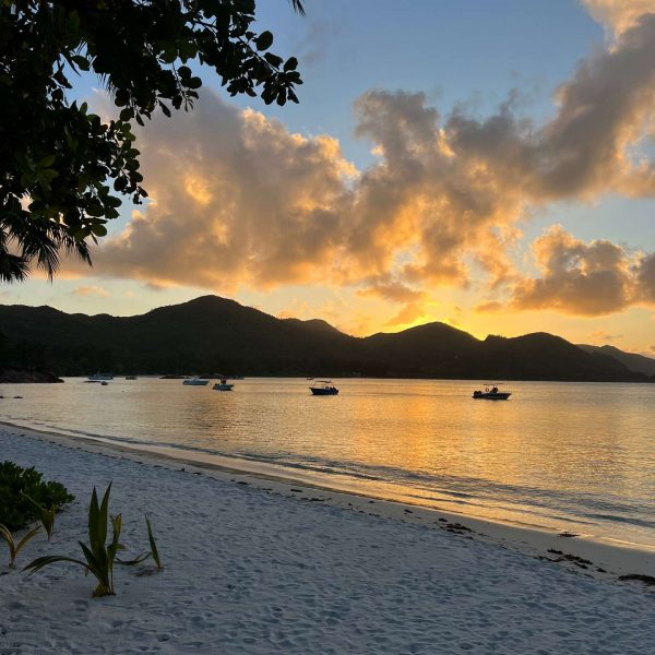 Sunset at the beach in Seychelles. Seychelles, Vallée De Mai and Anse Lazio