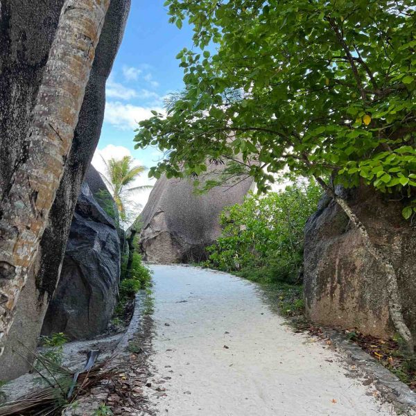 Path to abandoned building in Anse Source D_Argent, Seychelles. The best beach in the World & rip drone