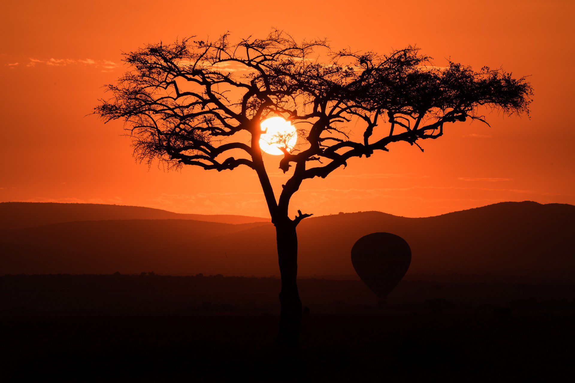 Tree at sunset in Masai Mara, Kenya. The East African Series photo album