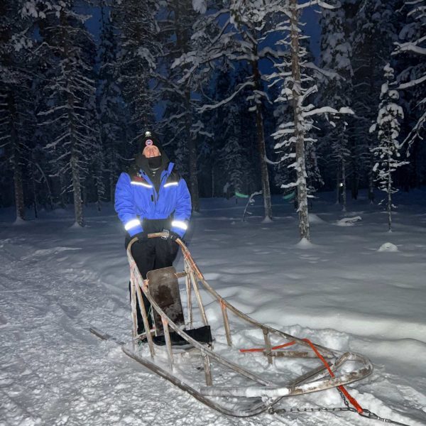 David Simpson on dog sled in Saariselka, Finland. Frozen karting & husky rides