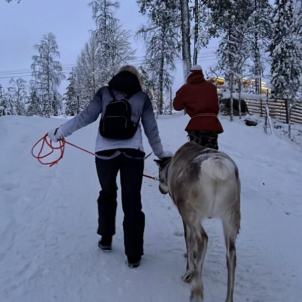 Person walking with reindeer in Ruka, Finland. Reindeer yoga, vengeance & NYE